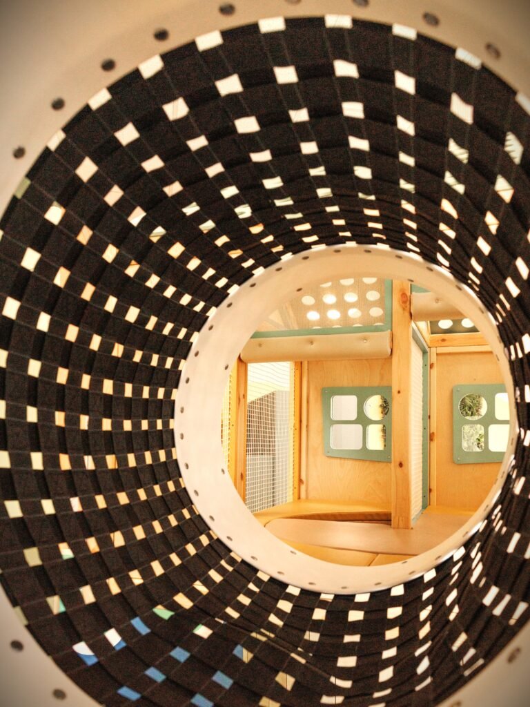 Adventure Tunnel
