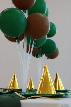 safari inspired birthday party